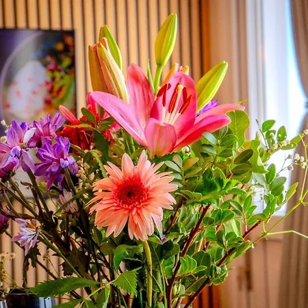 Apartament New 2 Bedroom